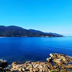 Narval Gris * Calcatoggio (Corsica)