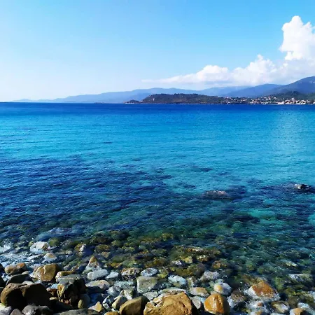 Narval Gris Calcatoggio (Corsica)