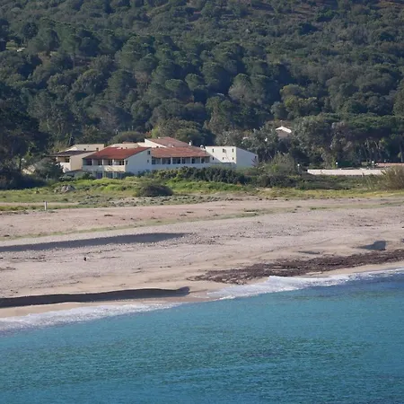 Narval Gris * Calcatoggio (Corsica)