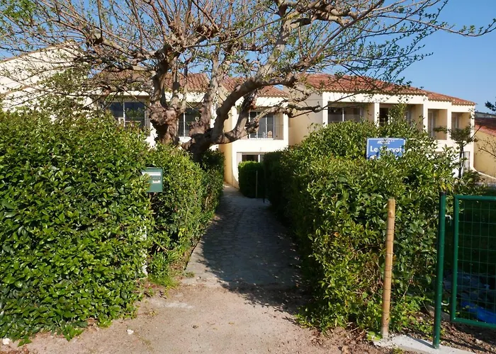 Narval Gris * Calcatoggio (Corsica)