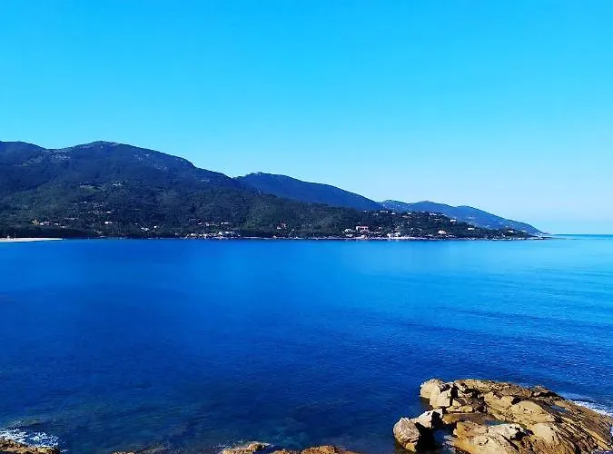 Narval Gris * Calcatoggio (Corsica)