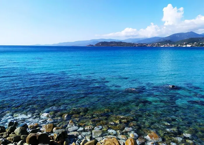 Narval Gris Calcatoggio (Corsica)