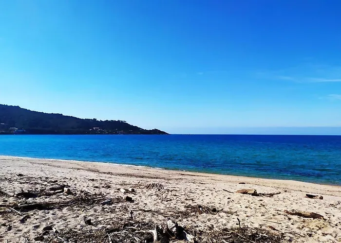 Narval Gris * Calcatoggio (Corsica)