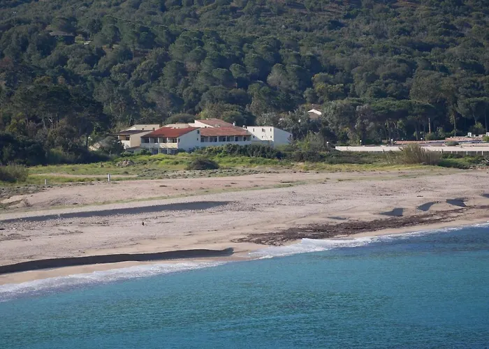 Narval Gris * Calcatoggio (Corsica)